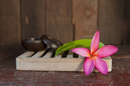 Still life with Pink and white frangipaniの写真素材