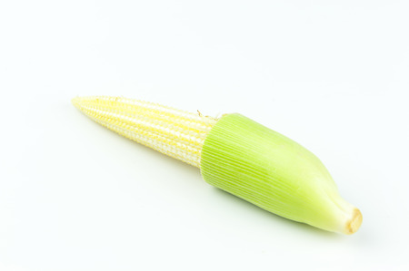 Corn on the white backgroundの写真素材