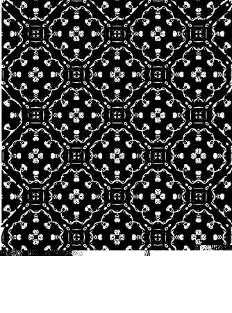 Black and white ornate geometric pattern and abstract background