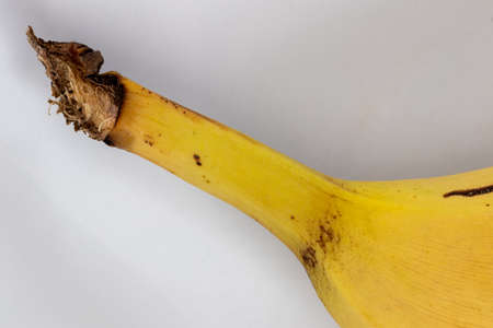 Close up of a piece of a ripe bananaの写真素材