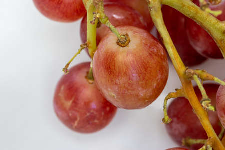 Close up of ripe and dark red grapesの写真素材