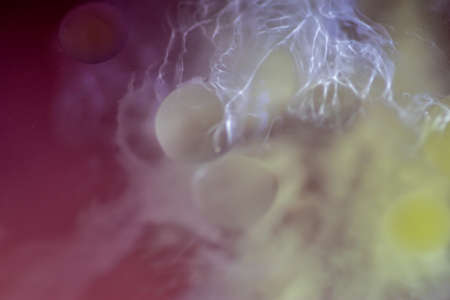 Oil drops in the water and milk create an artistic and imaginatively designed abstract background