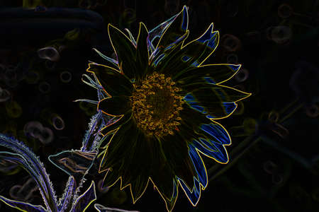 Close up of a beautiful flower in the garden at summer time in neon lookの写真素材