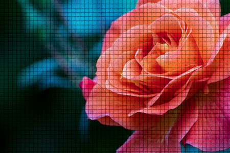 Close up of a beautiful plant in the garden at summer time in mosaic styleの写真素材