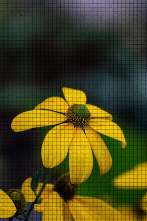 Close up of a beautiful plant in the garden at summer time in mosaic style