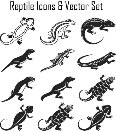Set of black and white silhouettes of lizards. Vector illustrationのイラスト素材