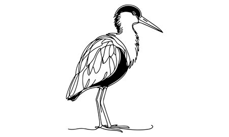 vector illustration of a heron on a white background. Hand drawingのイラスト素材