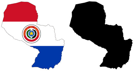 vector map and flag of paraguayのイラスト素材