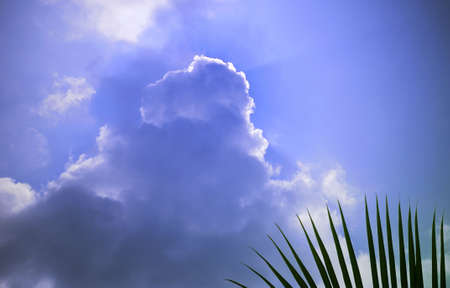 Picture of cloud at sky.の写真素材