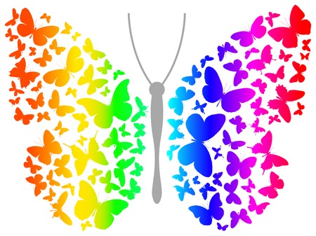 Illustration of butterflyのイラスト素材