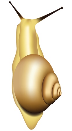 Layered  illustration of snail のイラスト素材