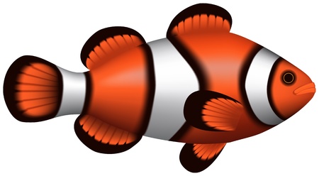 Layered illustration of isolated Clownfish with white background のイラスト素材