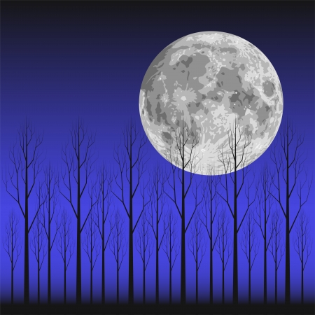 Layered illustration scene of moon and tree のイラスト素材