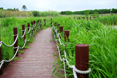 Panoramic photo of a small wooden bridge over a river in the wild and plants on the shoreの写真素材