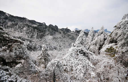 Mountain landscape after heavy snowfall, trees covered with snow and rime, China, Anhui Province, Mount Huangの写真素材