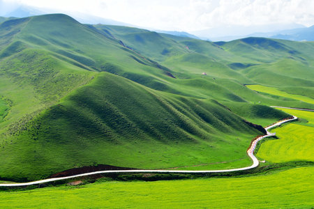 Photo of a road in a valley of alpine grasslandsの写真素材
