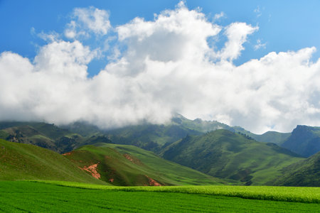 Photo of the mountains and valleys of Qilian Mountains, Qinghai Province, Chinaの写真素材