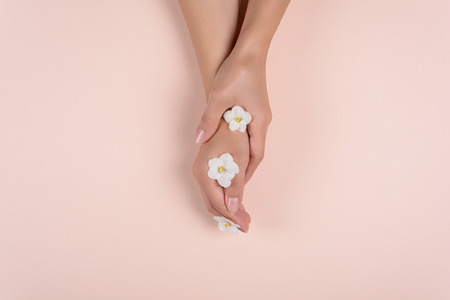 Hands with white flowers on pink background. Skin care concept. Top view. Copy spaceの写真素材