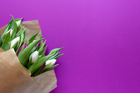 Bouquet of white and purple tulips on purple background. Top view. Flat lay. Copy space. Valentines day, mothers day, birthday, wedding celebration concept.の写真素材