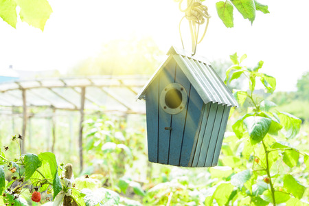Bird house or bird box in summer sunshine with natural green leaves background. Selective focus....