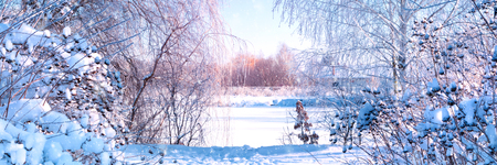 Banner 3:1. Winter landscape. Winter road and trees covered with snow. Sky and sunlight through the frozen tree branches. Copy space. Soft focusの写真素材