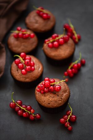 Chocolate muffins decorated red currant berries on dark wooden background. Flat lay. Soft focusの写真素材