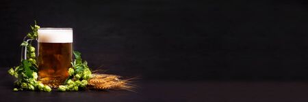 Banner 3:1. Mug of beer with wheats and hop cones on dark wooden background. October fest background