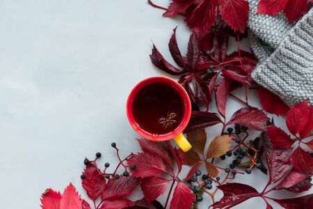 Cup of tea with red leaves of girlish (wild) grape or parthenocissus on gray wooden background. Top view. Flat lay. Autumnの写真素材