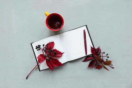 Cup of tea with red leaves of girlish (wild) grape and open empty note pad on gray wooden...