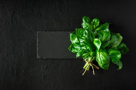 Fresh green basil on round square plate and dark concrete background. Top view. Flat layの写真素材