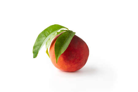 Peach fruit with leaf isolated on white background. Clipping path. Full depth of fieldの写真素材