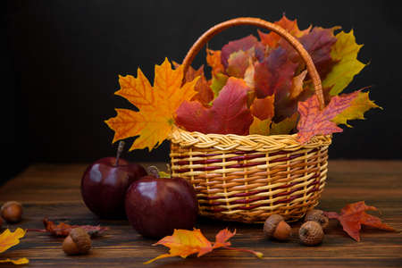 Basket with autumnal maple leaves on dark wood. Nature background. Copy spaceの写真素材