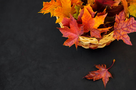 Basket with autumnal maple leaves on dark wood. Nature background. Copy spaceの写真素材