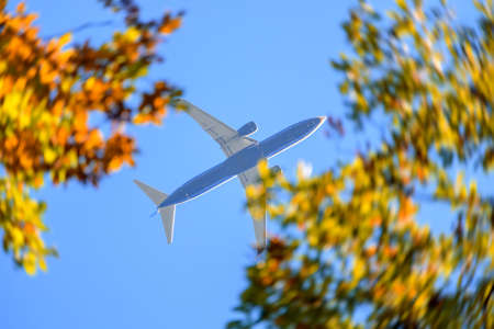 Commercial airplane jetliner flying above autumn colorful leaves. Travel conceptの写真素材