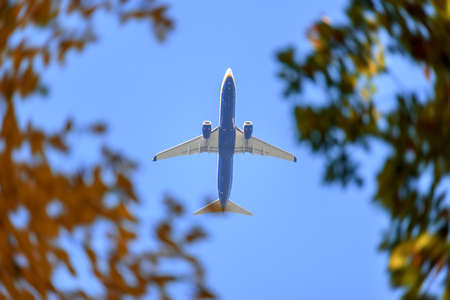 Commercial airplane jetliner flying above autumn colorful leaves. Travel conceptの写真素材