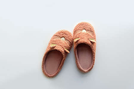 Warm fluffy cat face slippers. Top view. Copy spaceの写真素材
