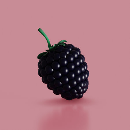 Berry icon. Ripe blackberry. 3D renderの写真素材
