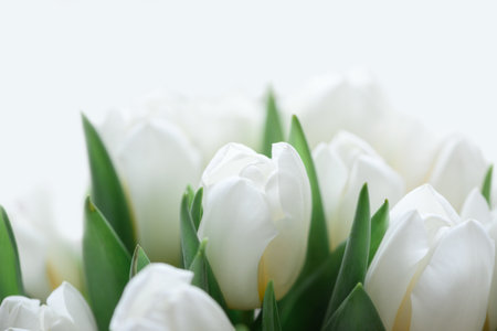 Close-up bouquet of white tulips. Anniversary celebration concept. Soft focusの写真素材