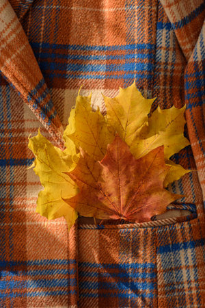 Autumn coat with maple leaves in pocket under sun rays