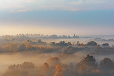 Autumn forest landscape with morning fog. High angle. Air viewの写真素材
