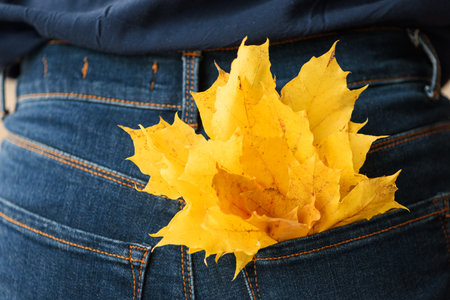 Jeans with autumn maple leaves in pocket. Front viewの写真素材