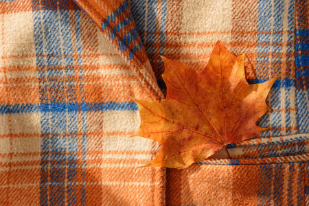 Autumn coat with maple leaf in pocket under sun raysの写真素材