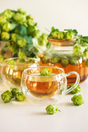 Hop Tea in Glass Teapot and Cups with Fresh Hops on Tableの写真素材
