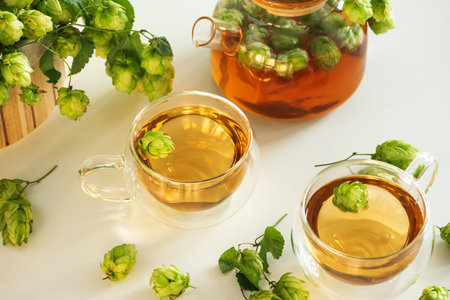 Hop Tea in Glass Teapot and Cups with Fresh Hops on Table