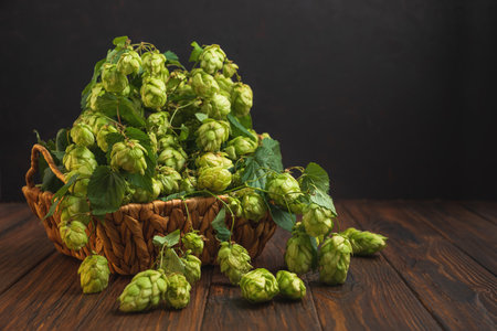 Fresh Green Hops in Woven Basket on Dark Wooden Surface