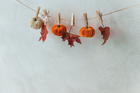 Autumn Garland with Leaves, Pumpkins, Berries, and Lights on Textured Wallの写真素材