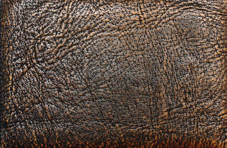 Old leather