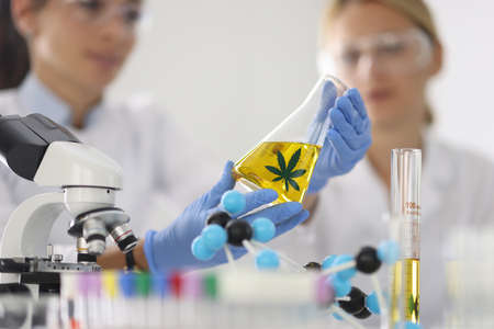 Women in chemical laboratory hold glass flask with hemp oil in hand in blue rubber gloves closeupの写真素材