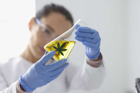 Woman in rubber gloves holding glass flask with hemp extract closeupの写真素材