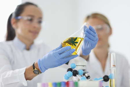 Researcher with glasses holds test tube with marijuana.の写真素材
